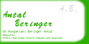 antal beringer business card